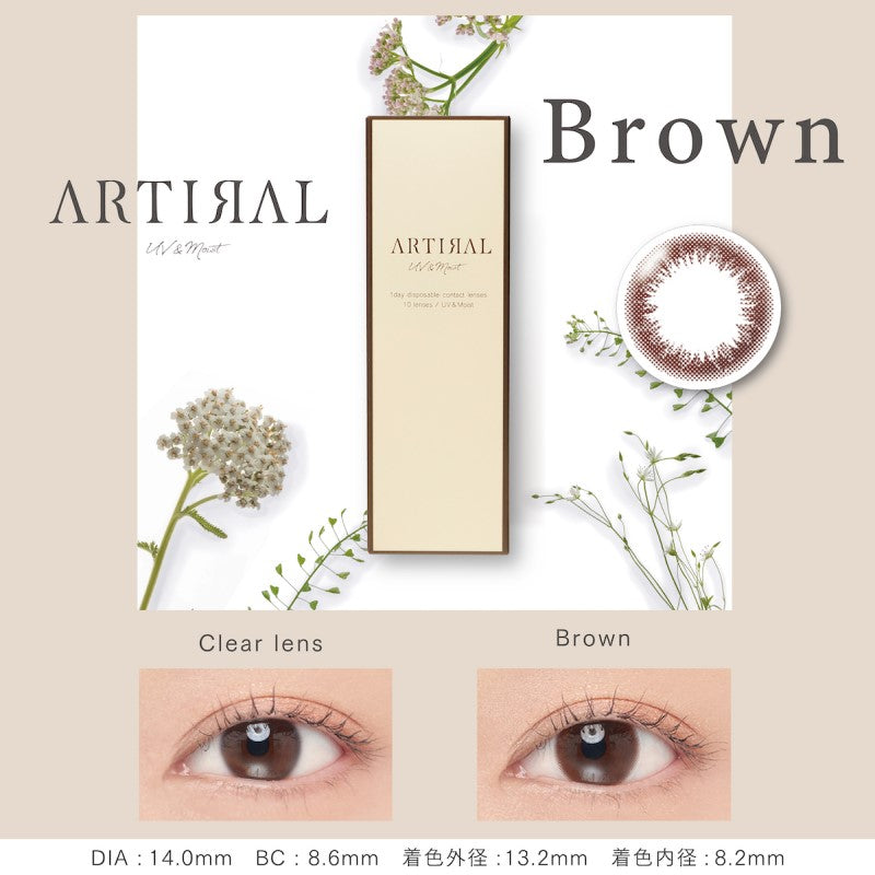 Artiral UVM Brown 1 Day Contact Lenses 10 Pack